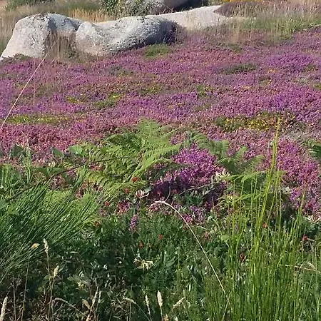 Les Hortensias Gr 34 - D'hotes